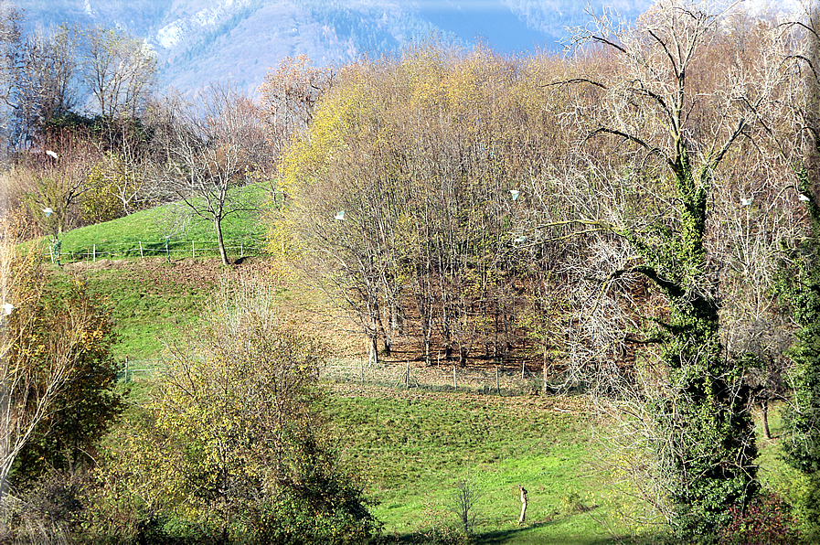 foto Paesaggi autunnali